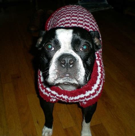 Dog Sweater LARGE Dog Sweaters Pets Animals Sweaters - Etsy