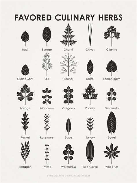 Favored Culinary Herbs (Identification Chart) by Iris Luckhaus at Coroflot.com