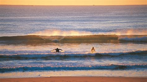 Visit Maroochydore: Best of Maroochydore, Sunshine Coast Travel 2024 | Expedia Tourism