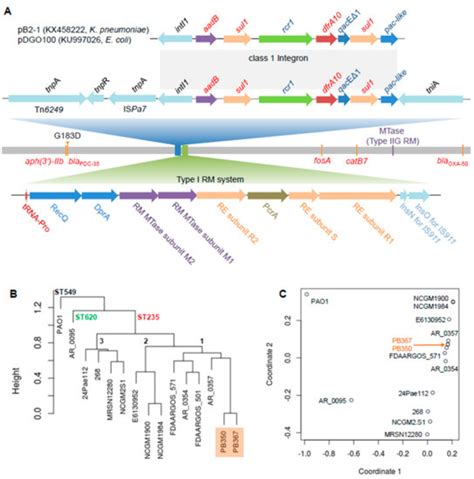 Ijms Free Full Text Integrated Genome Wide Analysis Of An Isogenic