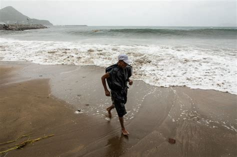 Alertan En Manzanillo Por Toxina Paralizante En Moluscos Que Puede Ser