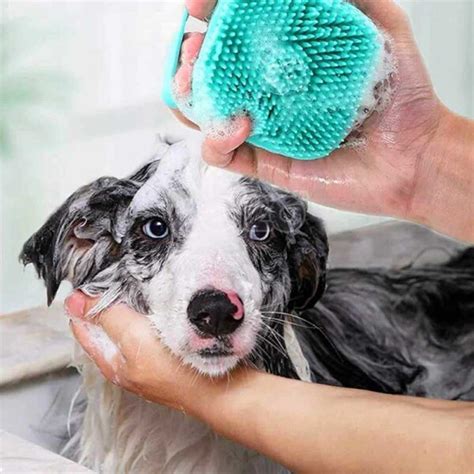 Cepillo Dispensador De Shampoo Para Mascotas Ml Center