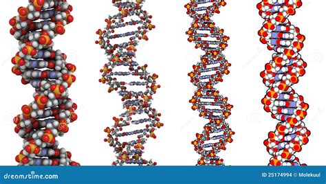 De Structuur Van DNA Stock Illustratie Illustration Of Gewijzigd