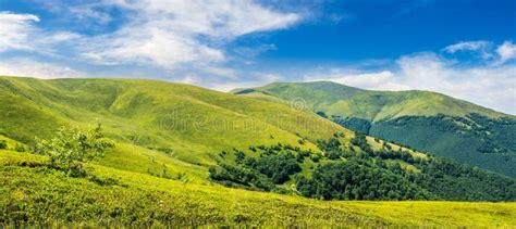 Summer Green Meadow In Mountain Panorama Stock Photo Image Of