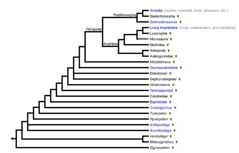 herpetology - Evolution of dinosaurs - Biology Stack Exchange