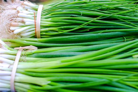 Green Onions Vs Scallions Vs Spring Onions Is There A Difference