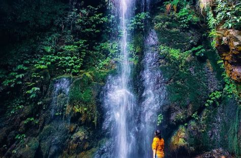 Jibhi Waterfall, Himachal: How To Reach, Best Time & Tips