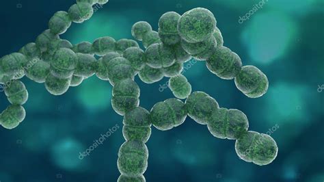 Bacterias Diplococcus D Ilustraci N