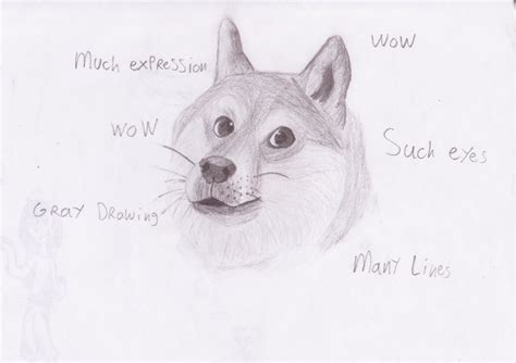 Doge Drawing at PaintingValley.com | Explore collection of Doge Drawing