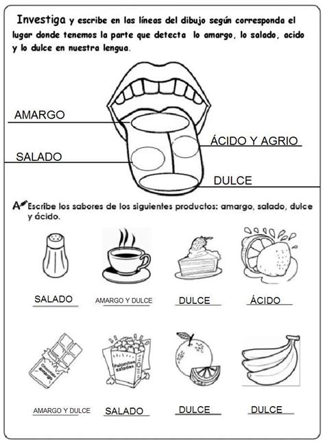 Escribe En Las L Neas Del Dibujo Seg N Corresponda El Alimento Donde