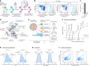 Mapping Variant Effects On Anti Tumor Hallmarks Of Primary Human T