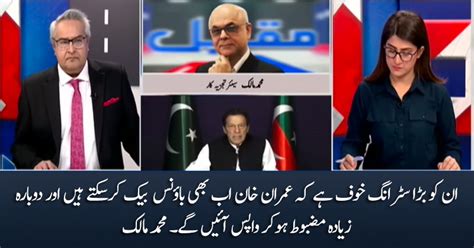 They Are Afraid That Imran Khan Still Can Bounce Back Muhammad Malick