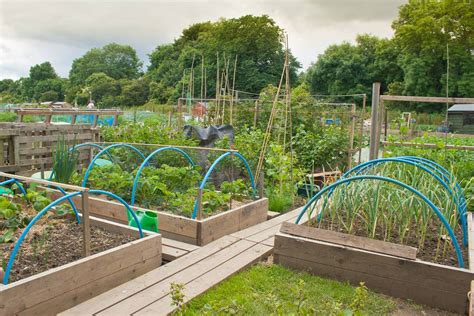 Britains Best Allotment Competition - Allotment Garden Diary