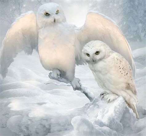 Winter Owls By Elenadudina On Deviantart Diamond Painting Owl