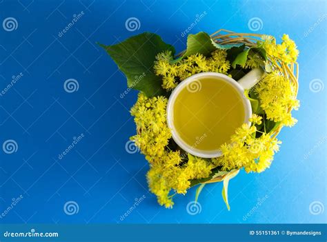 Kopp Te I Flätad Vide Korg Fyllde Med Limefruktblomningen