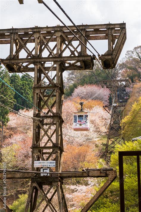 Nara, Japan - April 3, 2023 : Yoshino Ropeway. Cherry blossoms in full ...