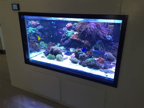 Custom Fish Tank Images Gallery