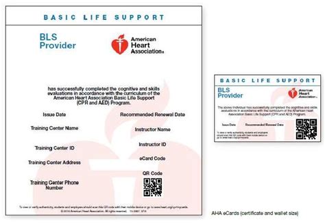 Basic Life Support Bls Центр специальной подготовки