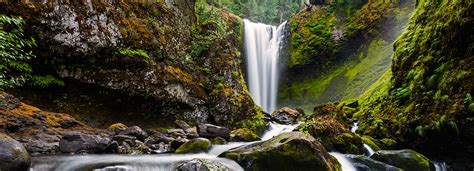 Falls Creek Falls, WA | Friends of the Columbia Gorge