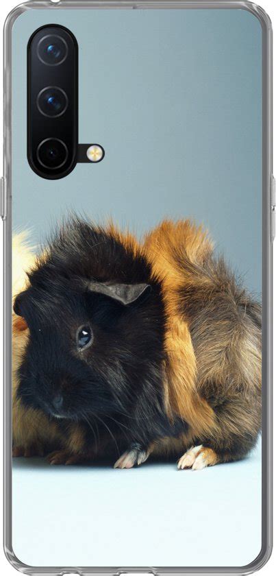 Oneplus Nord Ce G Hoesje Kleine Cavia Siliconen Telefoonhoesje