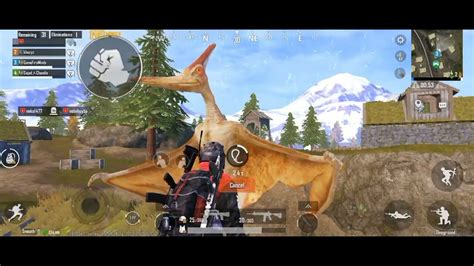 Pubg Mobile Dinosaur Update Gameplay Lets Ride A Dinosaur Together