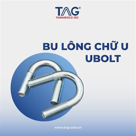 Bulong Ch U Ubolt Inox C C Lo I Lazada Vn