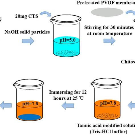 Preparation Of Composite Pvdf Membrane Download Scientific Diagram