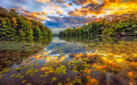 Download wallpapers river, autumn, forest, sunset, beautiful landscapes ...