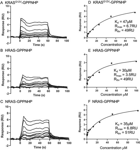 Surface Plasmon Resonance Of Compound B With The Three Ras Isoforms Download Scientific