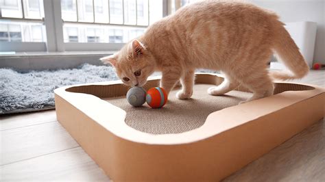 This Interactive Cat Board Game Has a Robotic Ball That Will Keep Them Busy For Hours