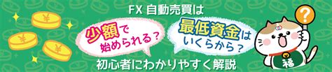 Fx自動売買は少額資金で始められる？fx自動売買の最低資金はいくらから？初心者にも分かりやすく解説！