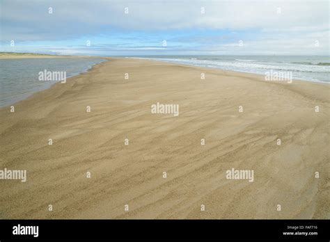 Nature and wildlife of the northern part of Sakhalin Island, Russia ...