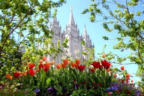 Lds Church Announces New Online System For Temple Prayer Rolls