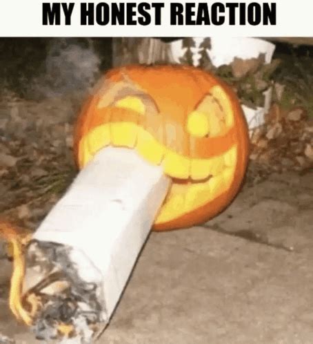 My Honest Reaction My Honest Reaction Discover Share GIFs