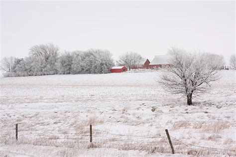 Farm Ditch Stock Photos Pictures And Royalty Free Images Istock