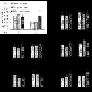 Changes In Chlorophyll Fluorescence Parameters In Dry Farmed And