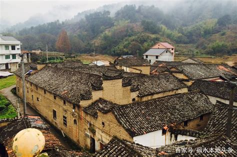 莲都新陶村：打造红色文化与绿色发展相得益彰的乡村共富新图景