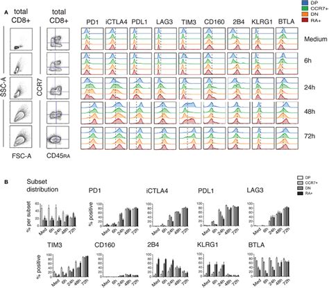 Dynamics Of Ir Expression Over 3 Days Of Stimulation Pbmc From Healthy