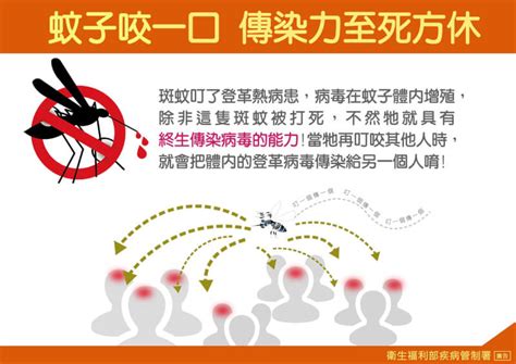 登革熱本土疫情今年首見4重症 新增雲林古坑群聚 生活 中央社 Cna