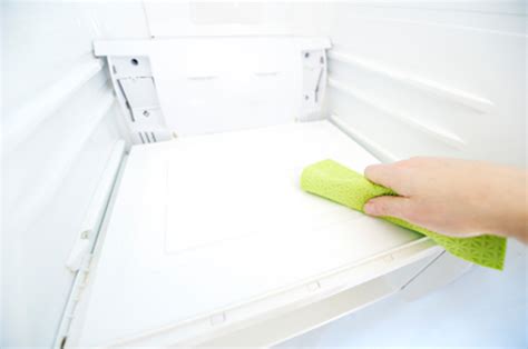 5 Smells, 1 Solution: Eliminating Refrigerator Odors For Good