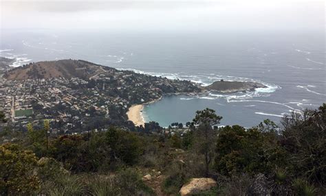 Parque El Boldo Wikiexplora