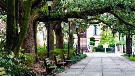 Luxury Boutique Savannah Hotel in Downtown Historic District | Andaz Savannah