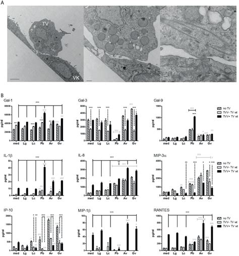 Frontiers Protozoan Viral Bacterial Co Infections Alter Galectin Levels And Associated