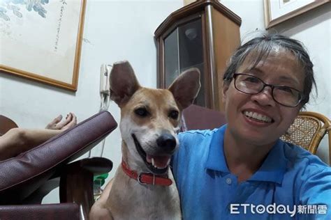 怕走了愛犬沒人顧！媽笑「分100萬遺產給狗」 要小孩護牠一生 Ettoday寵物雲 Ettoday新聞雲