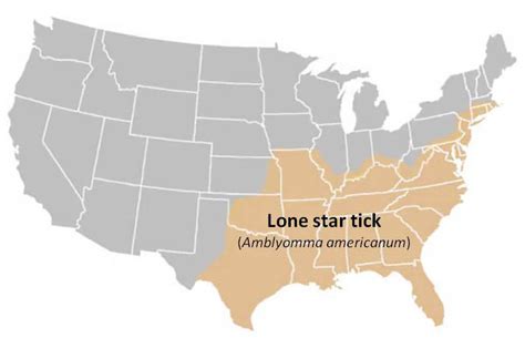 Lone star tick distribution map of United States - The Tick App