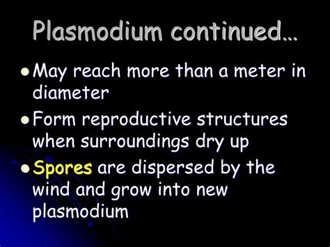 PPT - Protists PowerPoint Presentation, free download - ID:1069390