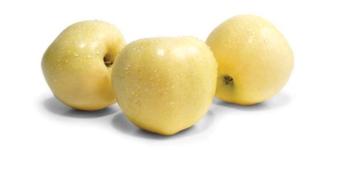 Aurora Golden Gala Apples — Gee Whiz Premium Fruit Grower