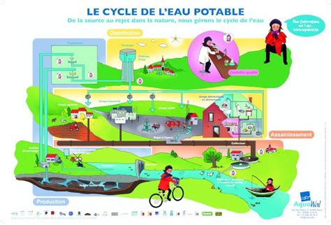 PDF LE CYCLE DE LEAU POTABLE Inbw Be LE CYCLE DE LEAU POTABLE