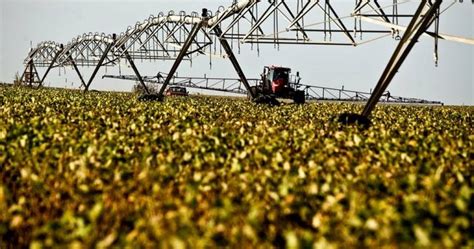 Agropecuária é único setor da economia brasileira crescimento na