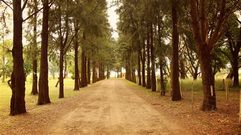 Campo Brandsen El Lugar Ideal Para Un D A De Campo